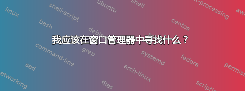 我应该在窗口管理器中寻找什么？