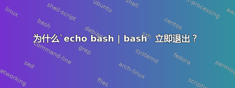 为什么`echo bash | bash` 立即退出？