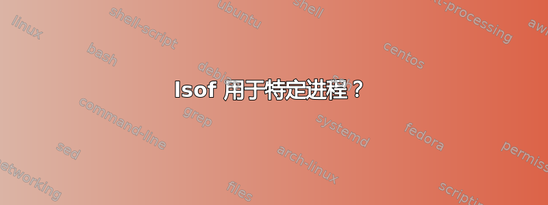 lsof 用于特定进程？