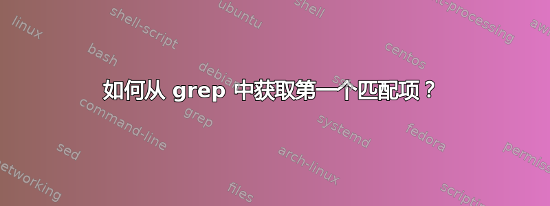 如何从 grep 中获取第一个匹配项？