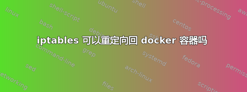 iptables 可以重定向回 docker 容器吗