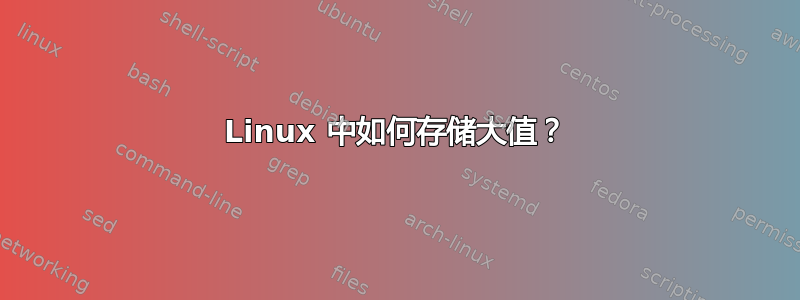 Linux 中如何存储大值？