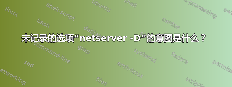 未记录的选项“netserver -D”的意图是什么？