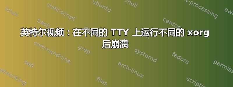 英特尔视频：在不同的 TTY 上运行不同的 xorg 后崩溃