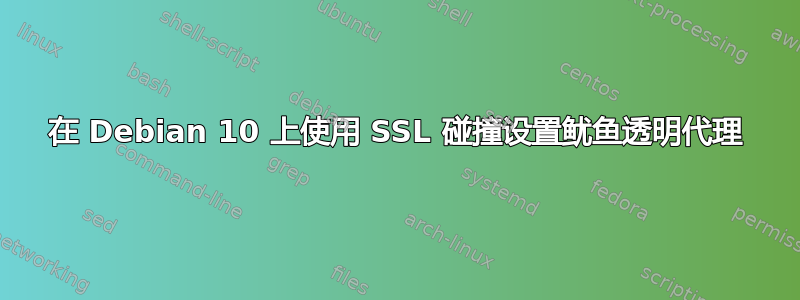 在 Debian 10 上使用 SSL 碰撞设置鱿鱼透明代理