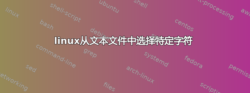 linux从文本文件中选择特定字符