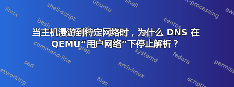 当主机漫游到特定网络时，为什么 DNS 在 QEMU“用户网络”下停止解析？