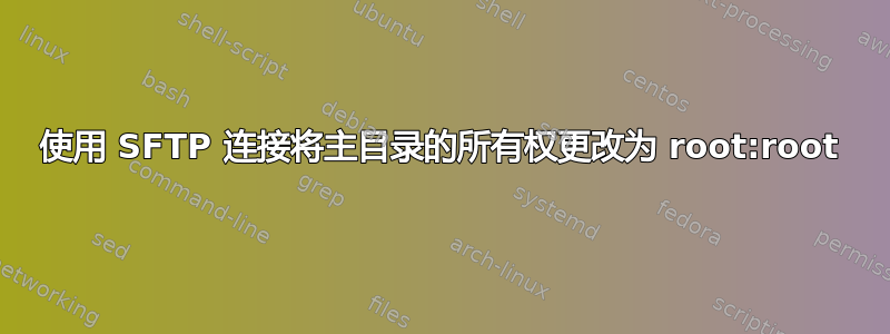 使用 SFTP 连接将主目录的所有权更改为 root:root