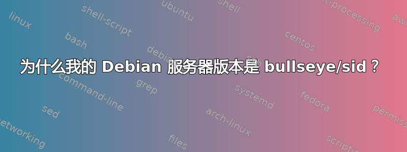 为什么我的 Debian 服务器版本是 bullseye/sid？