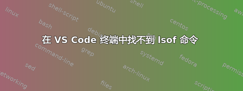 在 VS Code 终端中找不到 lsof 命令