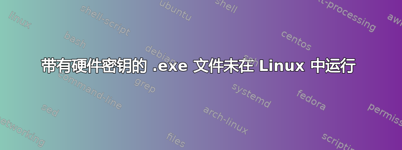 带有硬件密钥的 .exe 文件未在 Linux 中运行