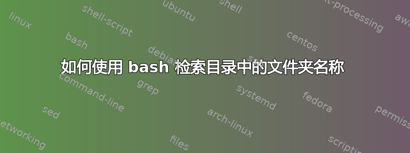 如何使用 bash 检索目录中的文件夹名称