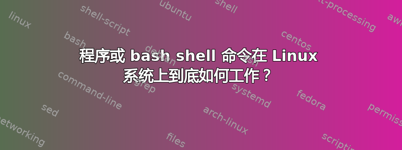 程序或 bash shell 命令在 Linux 系统上到底如何工作？