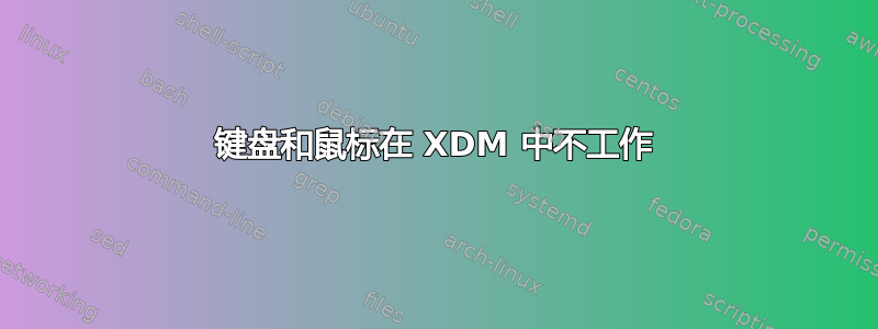 键盘和鼠标在 XDM 中不工作