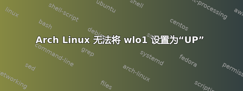 Arch Linux 无法将 wlo1 设置为“UP”