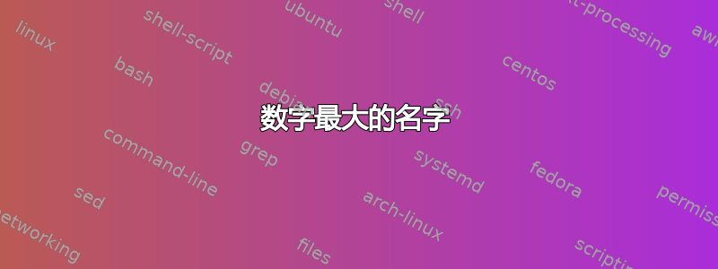 数字最大的名字