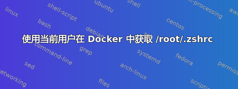 使用当前用户在 Docker 中获取 /root/.zshrc