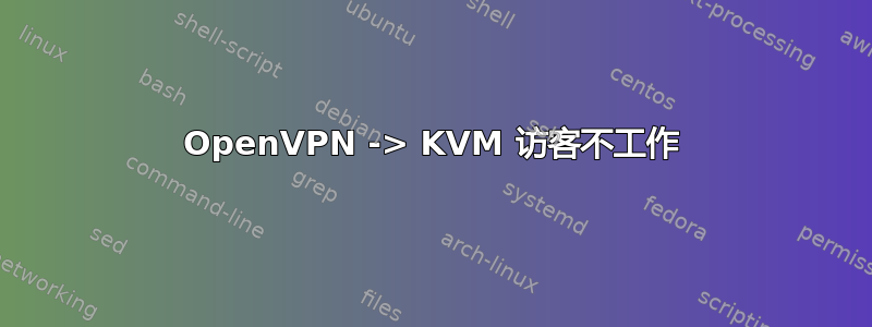 OpenVPN -> KVM 访客不工作