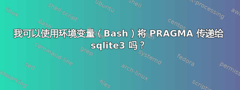 我可以使用环境变量（Bash）将 PRAGMA 传递给 sqlite3 吗？