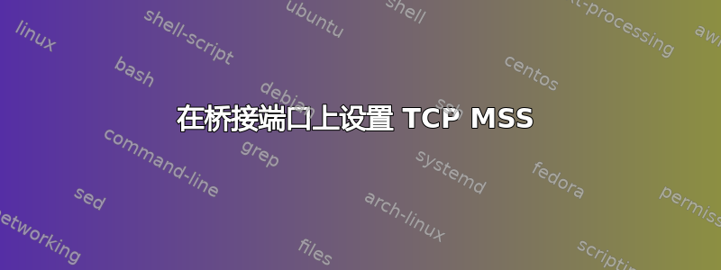 在桥接端口上设置 TCP MSS