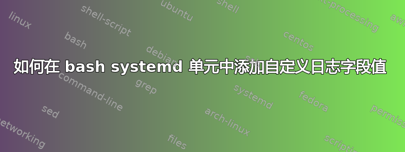 如何在 bash systemd 单元中添加自定义日志字段值