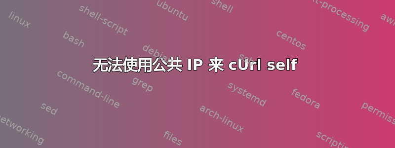 无法使用公共 IP 来 cUrl self