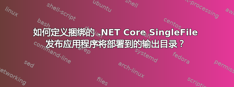 如何定义捆绑的 .NET Core SingleFile 发布应用程序将部署到的输出目录？