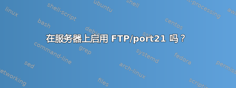 在服务器上启用 FTP/port21 吗？