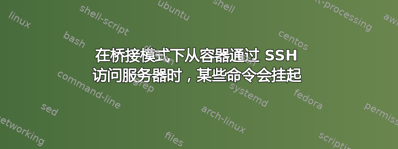 在桥接模式下从容器通过 SSH 访问服务器时，某些命令会挂起