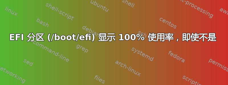 EFI 分区 (/boot/efi) 显示 100% 使用率，即使不是