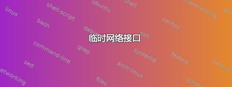 临时网络接口