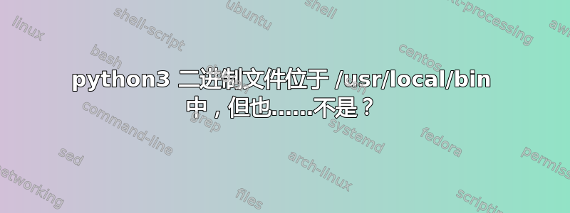 python3 二进制文件位于 /usr/local/bin 中，但也……不是？