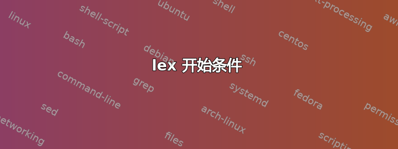 lex 开始条件