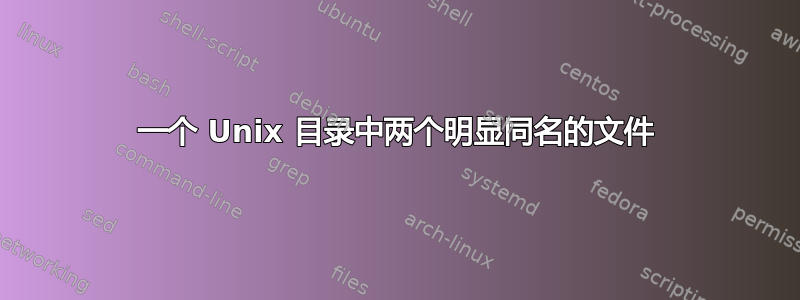 一个 Unix 目录中两个明显同名的文件