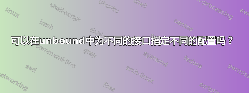 可以在unbound中为不同的接口指定不同的配置吗？