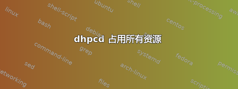 dhpcd 占用所有资源