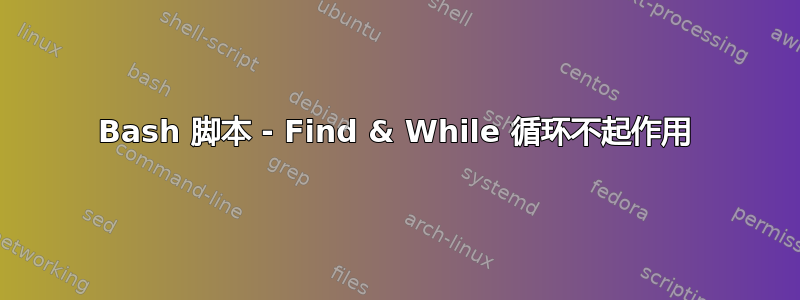 Bash 脚本 - Find & While 循环不起作用