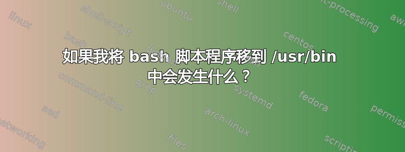 如果我将 bash 脚本程序移到 /usr/bin 中会发生什么？