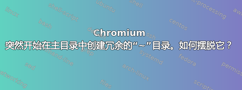 Chromium 突然开始在主目录中创建冗余的“~”目录。如何摆脱它？