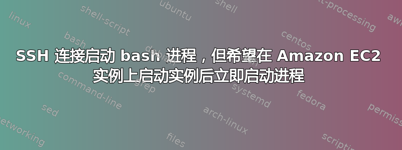 SSH 连接启动 bash 进程，但希望在 Amazon EC2 实例上启动实例后立即启动进程