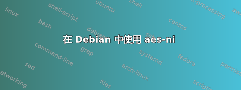 在 Debian 中使用 aes-ni