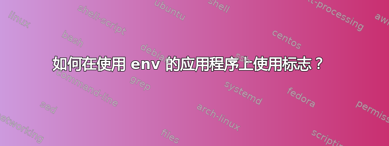 如何在使用 env 的应用程序上使用标志？ 