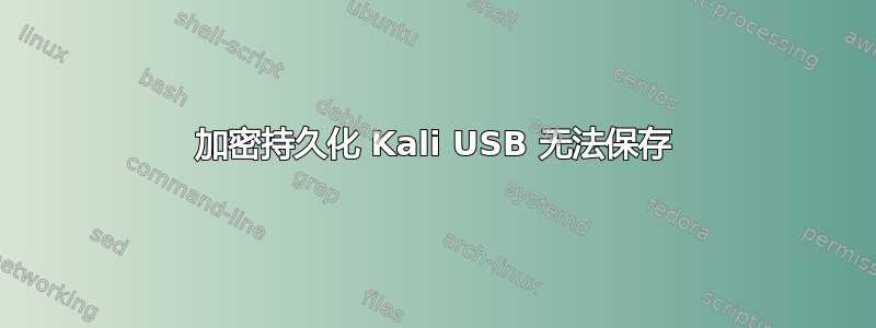 加密持久化 Kali USB 无法保存