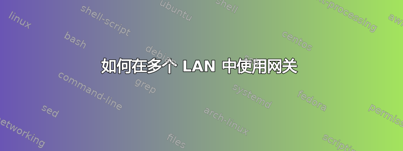 如何在多个 LAN 中使用网关