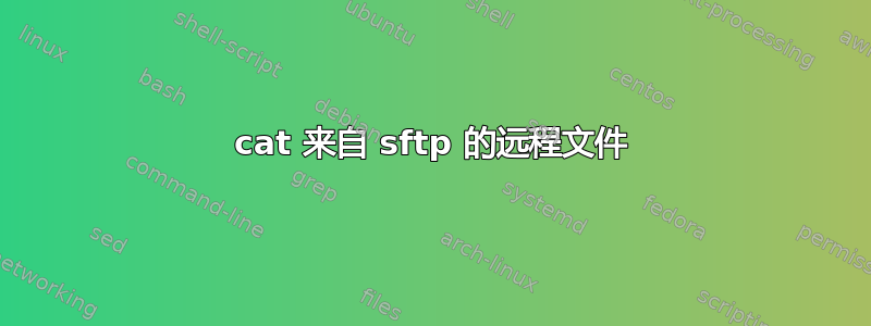 cat 来自 sftp 的远程文件