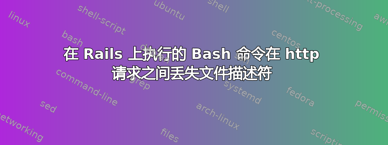 在 Rails 上执行的 Bash 命令在 http 请求之间丢失文件描述符