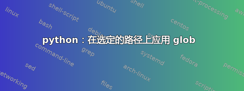 python：在选定的路径上应用 glob 