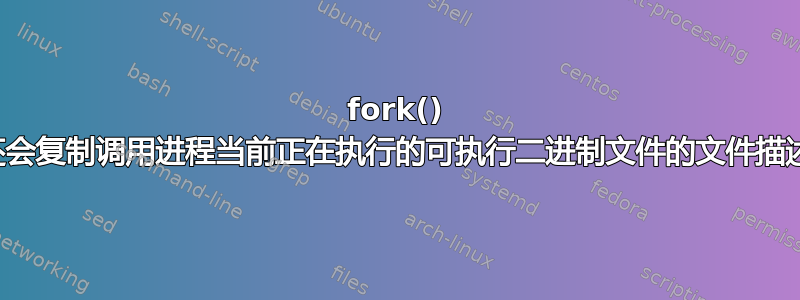 fork() 是否还会复制调用进程当前正在执行的可执行二进制文件的文件描述符？