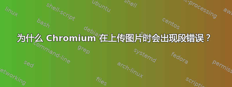 为什么 Chromium 在上传图片时会出现段错误？