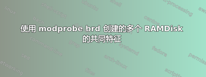 使用 modprobe brd 创建的多个 RAMDisk 的共同特征